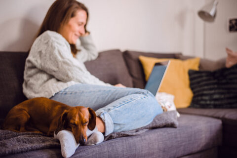 Saako vuokra-asunnossa pitää lemmikkieläintä?